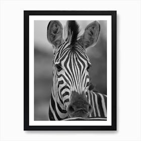 Black & White Zebra Portrait Art Print