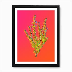 Neon Cat Thyme Plant Botanical in Hot Pink and Electric Blue n.0055 Art Print
