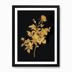 Vintage Alpine Rose Botanical in Gold on Black n.0426 Art Print