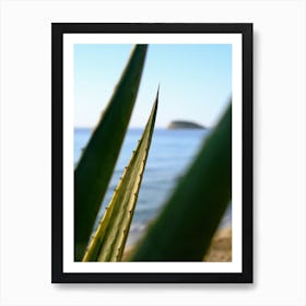 Agave with sea view // Ibiza Nature & Travel Photography Art Print
