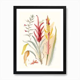 Helonias Root Spices And Herbs Pencil Illustration 4 Art Print