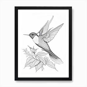 Black Chinned Hummingbird William Morris Line Drawing Art Print