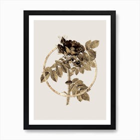 Gold Ring Kamtschatka Rose Glitter Botanical Illustration n.0243 Art Print