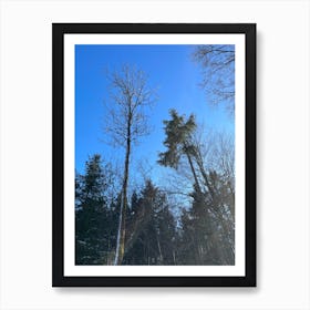 Trees In The Snow Art Print