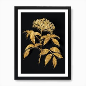 Vintage Elderberry Flowering Plant Botanical in Gold on Black n.0557 Art Print