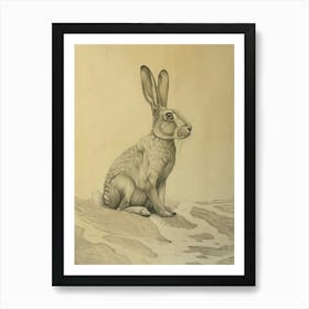 Flemish Giant Rabbit Drawing 1 Art Print