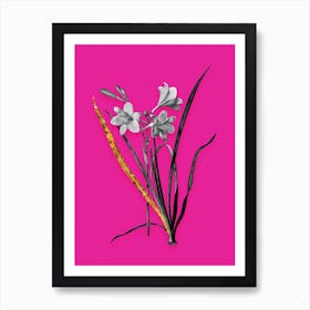 Vintage Daylily Black and White Gold Leaf Floral Art on Hot Pink n.1117 Art Print