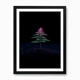 Small Tree On The Ground Art Print