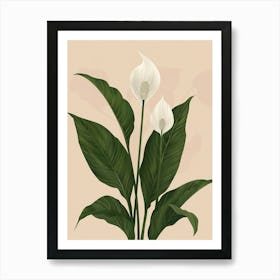 Peace Lily Plant Minimalist Illustration 2 Art Print