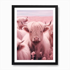 Heard Of Highland Cows Pink Realistic Photography 4 Art Print