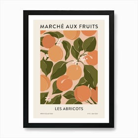 Fruit Market - Apricots Art Print