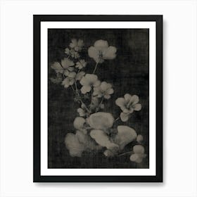 Chinese Flowers Art Print