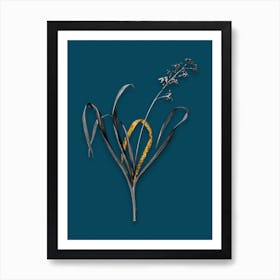 Vintage Dutch Hyacinth Black and White Gold Leaf Floral Art on Teal Blue n.0673 Art Print