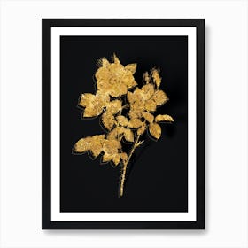 Vintage Twin Flowered White Rose Botanical in Gold on Black n.0585 Art Print