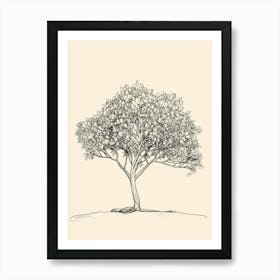 Walnut Tree Minimalistic Drawing 4 Art Print