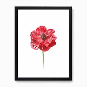 Anemone Red Flower Art Print