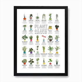 Plant Life Art Print