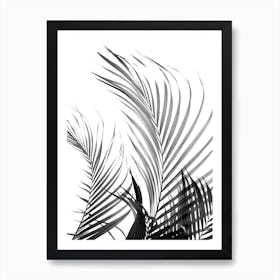 Palm Fronds in Black & White Line Art Print