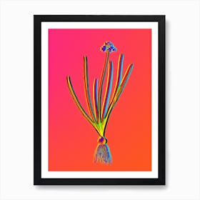 Neon Spring Squill Botanical in Hot Pink and Electric Blue n.0356 Art Print