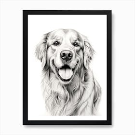 Golden Retriever Dog, Line Drawing 3 Art Print