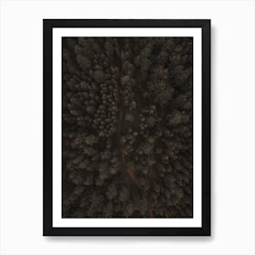 Aerial Forest Scenery Art Print