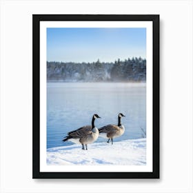 Canadian Goose Tranquil Stance Beside A Frozen Lakes Edge Winter Landscape Background Snow Clad (1) Art Print