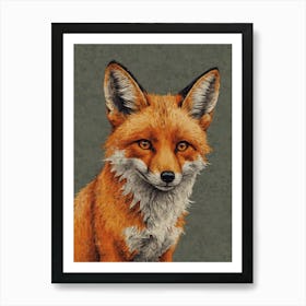 Red Fox 1 Art Print