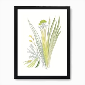 Lemongrass Spices And Herbs Pencil Illustration 3 Art Print