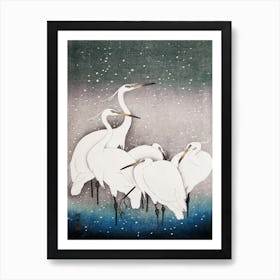 Group Of Egrets Art Print