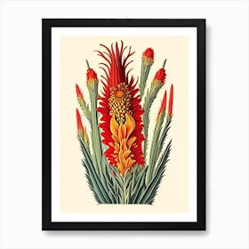 Red Hot Poker Wildflower Vintage Botanical Art Print