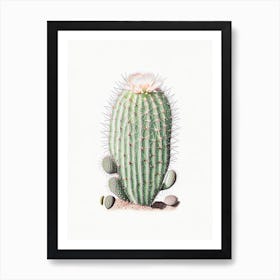 Mammillaria Cactus Marker Art 2 Art Print