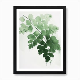 Green Ink Painting Of A Maidenhair Fern 1 Affiche