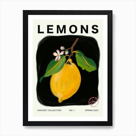 Lemons Fruit Kitchen Typography Art Print