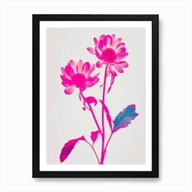 Hot Pink Asters 3 Art Print