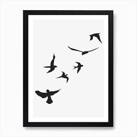 Sky Of Birds Art Print