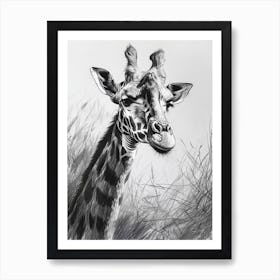 Giraffe In The Grass Pencil Drawing 10 Art Print