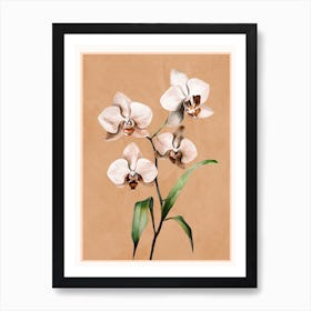 White Orchid Floral Art 2 Art Print