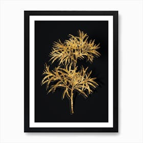 Vintage Bitter Willow Botanical in Gold on Black n.0481 Art Print