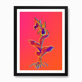 Neon Lady's Slipper Orchid Botanical in Hot Pink and Electric Blue n.0221 Art Print