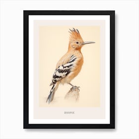 Vintage Bird Drawing Hoopoe 1 Poster Art Print