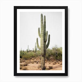 Arizona Cactus Art Print