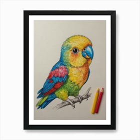 Colorful Parrot 38 Art Print