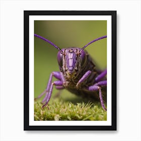 Purple Bug Art Print