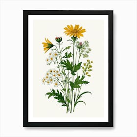 Vintage Botanical Galleria Style Wildflower Painting 17 Art Print