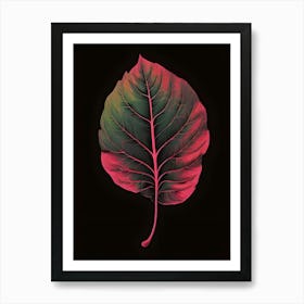 Leaf On A Black Background Art Print