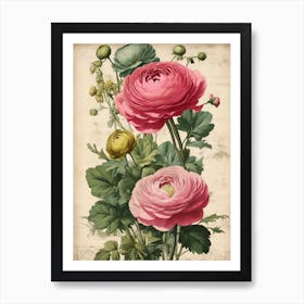 Pink Carnations Art Print