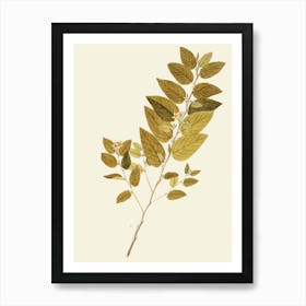 Cypress 1 Art Print