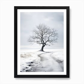 Winter Tree 3 Art Print