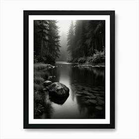 Black And White Forest Art Print