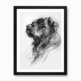 Tibetan Mastiff Dog Charcoal Line Art Print